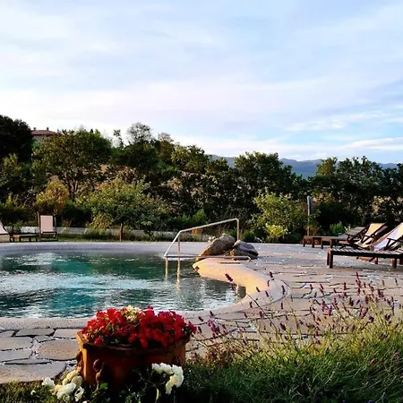 Il Nido Di Gabbiano