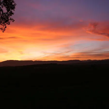 Il Nido Di Gabbiano