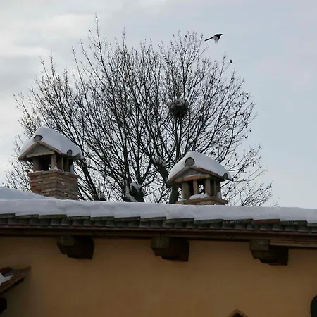Casa di campagna Il Nido Di Gabbiano Scarperia