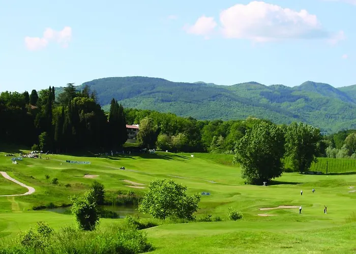 Il Nido Di Gabbiano